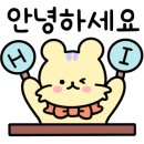 펫하우스 V 이미지