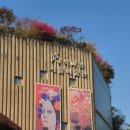 서울문화예술전문학교 | 🌿 서울 나들이 | 석파정과 천경자 화백 특별전에서 느낀 하루