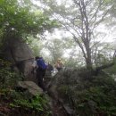 대성초삼거리 이미지