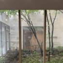 본느마망 산후조리원 | B5. 본느마망 산후조리원 VVIP 2주 후기｜왜 나는 별로였다고 느꼈을까