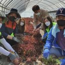 청주축산업협동조합 뉴시스