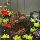 (주)코리아세븐울산공원점 | 11월 37일