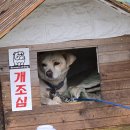 프렌즈펜션 | 펜션] - 숲속의강촌 :: 강촌역에서 가까우며 역대 가장 바베큐 맛있었던 펜션 + 프렌즈 102호 다녀온 후기!