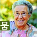 코리코리 이미지