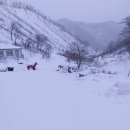 숲속산양목장 이미지