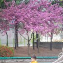 해당화어린이공원 이미지