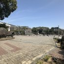 민속자연사박물관 | 제주 아이랑 가볼만 한곳- 제주 민속자연사박물관 (제주벚꽃도 함께)