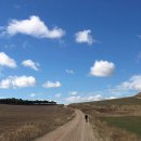 (주)까미노 이미지