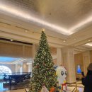 세븐일레븐 서귀포롯데호텔점 이미지