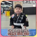 하나태권도 | 옥정태권도 보내고 가장 먼저 달라진 건 인사였습니다. 학부모가 직접 느낀 솔직한 후기