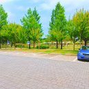 빛가람호수공원전망대 | 전남 나주 가볼만한곳 아이랑 피크닉 하기 좋은 빛가람호수공원전망대 모노레일 돌미끄럼틀(운영시간)