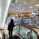 크로앙스안경 | 광명 블루라이트차단안경 + 50%DC,야간운전과 자외선차단 동시 쇼와렌즈