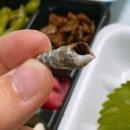 어사출또 하남시청점 이미지