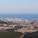 울산대공원 남문 장미원 빛축제 201: 별빛 꿈을 그리다 이미지