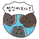 영남 알프스 펜션 이미지