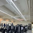 피트니스H PT 헬스 | 피트니스H PT헬스 행신점, 행신헬스장 레이디존·프리웨이트의 핵심