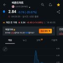소소한 밈주식 매도수익 이미지