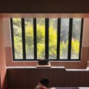 GS25 오리마을점 | 부산 히노키탕 호텔 덴바스타 포레스트