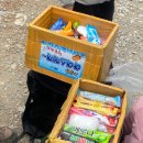 들개농장 | 울산 영남 알프스 간월재. 간월재 처음 간 사람의 후기. 간월재 휴게소 후기. 11월의 간월재.