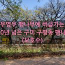 구진벌공원 이미지