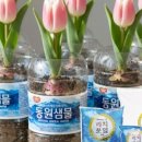 반석농장 이미지