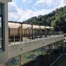 아이(233) | 가족 나들이 최적! 괴정 대형카페 ‘카페 시온’ 후기: 분위기·메뉴·주차, 아이동반 팁까지