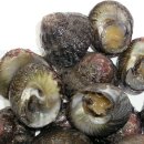 대정읍 하모3리 사무소 주차장 | 옥돔식당, 전현무계획3 제주도 방송나온 그 맛집!