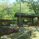 약수터 - 중구 | 약수터