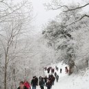 태백산 이미지