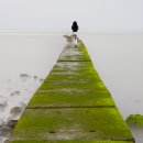 바다로 가는 사람들 이미지