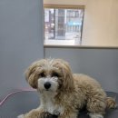 멍빨털빨 이미지