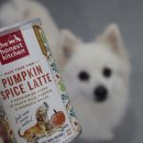 개엄마 | 디어니스트키친 가을 한정 펌킨 스파이스 라떼 급여 후기 / 개엄마들의 잡화점