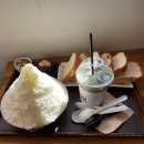 탈빙고
