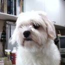 가좌종합동물병원 이미지