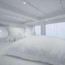바이레도 - 서초구 신반포로 176 | 바이레도