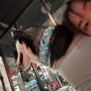 혜정이네갈비 이미지