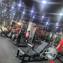 DY휘트니스 이미지