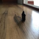 뽀야네 민박집 이미지