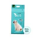 도기프렌즈 이미지