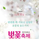 [청풍명월]청풍호 벚꽃축제 &amp; 충주호 관광선 테마여행 04월12일(금) 신청하세요. 이미지