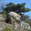 주전초교 이미지