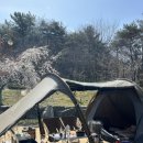 주왕산삼계탕원평점 이미지