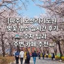 기도원 맞은 편 화장실 | [파주] 오산리기도원 벚꽃 명소 실시간 후기 : 주차 팁과 주변 카페 추천