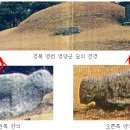 오미2동 이미지
