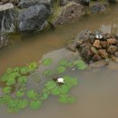 다산농원 이미지