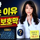 위벽 손상은 전신 염증의 시작? 미국약사가 공개하는 근본 회복법 이미지