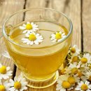 상대서로 이미지