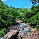 대원사계곡 이미지