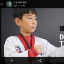 도담 꿈의 태권도장 네이버블로그