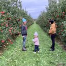 온주농장 이미지